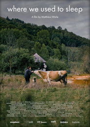 Where We Used to Sleep