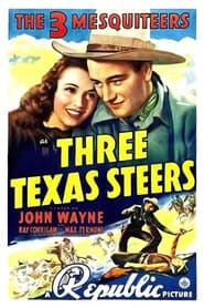 Three Texas Steers постер