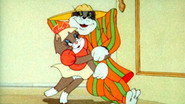 The Zoot Cat