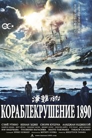 Кораблекрушение 1890