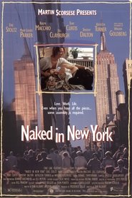 Naked in New York 1993 ポスター