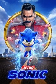 Ježko Sonic