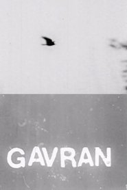 Gavran