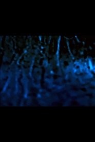 Pôster de Universal Consciousness