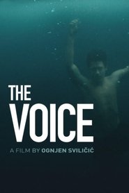 Poster The Voice 2019