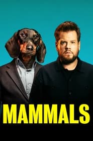 Mammals – Mamifere