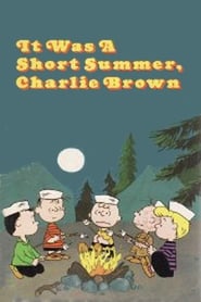 Poster van It Was a Short Summer, Charlie Brown