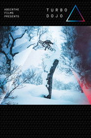TurboDojo (2017)