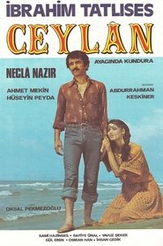 Poster Ceylan