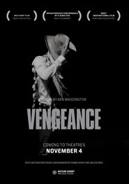 Poster Vengeance