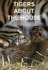 Poster Tigers About the House - What Happened Next 2015