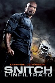 watch Snitch - L'infiltrato now