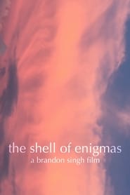 The Shell of Enigmas