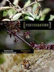 Perturbation 2020 Безплатен неограничен достъп
