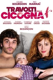 Travolti dalla cicogna (2011)