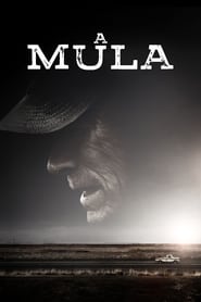 Assistir A Mula Online HD