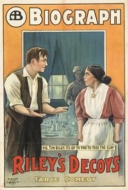 Poster Riley's Decoys 1913