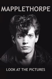 Mapplethorpe: Look at the Pictures постер