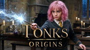 NYMPHADORA TONKS: The Complete Life. Hufflepuff, Metamorphmagus and Auror