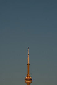 The Tower That Built a City