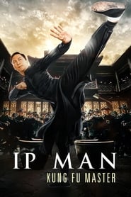 Ip Man Kung Fu Master 2019 Movie BluRay Hindi Chinese 480p 720p 1080p