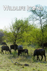 Wildlife Icons постер