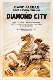 Diamond City постер