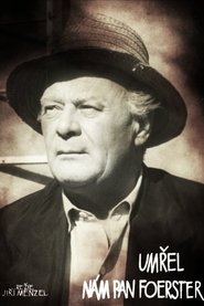 Poster Our Mr. Foerster Died 1963