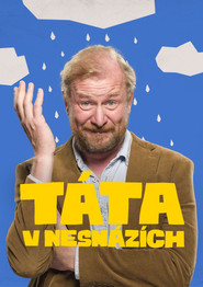 Táta v nesnázích постер