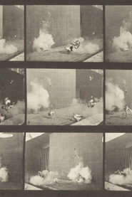 Chickens Scared by Torpedo постер