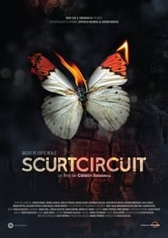 Poster Scurtcircuit