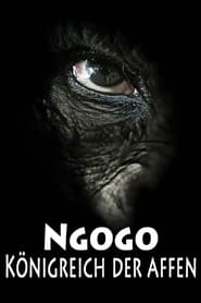 Poster NGOGO - Königreich der Affen