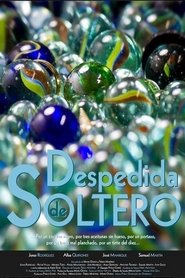 Poster Despedida de Soltero 2013