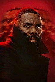 The Madness poster