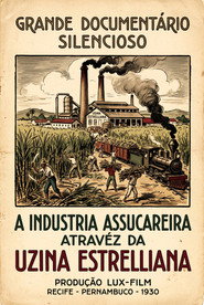 A Indústria Assucareira Através da Uzina Estrelliana