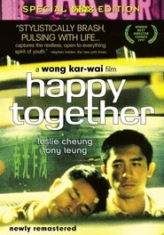 مشاهدة فيلم Happy Together 1997 مترجم