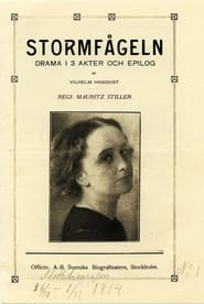 Poster Stormfågeln