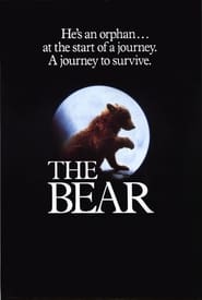 Ведмідь постер