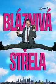 Bl&aacute;zniv&aacute; střela (2025)