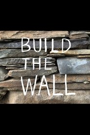 Build the Wall 2020