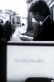 El entierro del gato