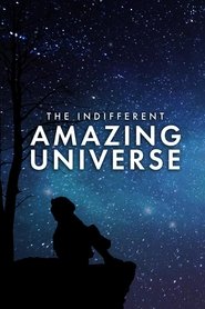 Poster The Indifferent Amazing Universe 2017