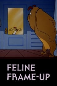 Feline Frame-Up