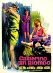 Poster Camerino sin biombo 1967