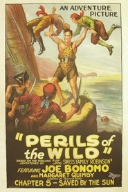 Poster Perils of the Wild