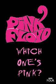 Poster The Pink Floyd Story: Which One's Pink? 2007