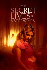 Poster for The Secret Lives of Sister Wives