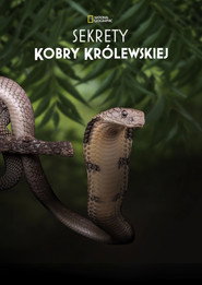Plakat — Sekrety kobry królewskiej
