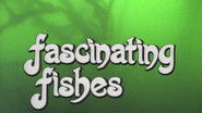Fascinating Fishes