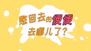 【人体 肠道】憋回去的便便去哪了？
